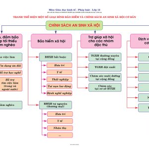 Tranh thể hiện một số loại hình bảo hiểm và chính sách an sinh xã hội cơ bản